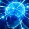 Big_Brain