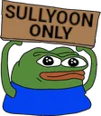 sullyoononly