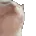 catjam
