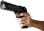 Gun