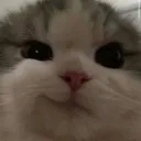 catsmirk