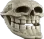t_skull
