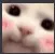 kittyblush2 Discord Emoji