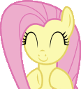flutterclap2