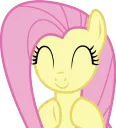 flutterclap2