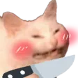 kittyknifeevilblush