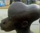 Thehead
