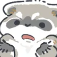 raccoonhuh