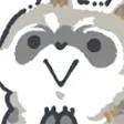 raccoonBIGsmirk