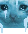 freezeme freezeme