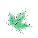 yesil_OwO
