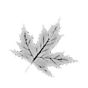 pnk_gri