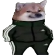 tracksuitdoge