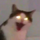 88eb92421bbee0c0b7456dcec061ba91