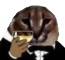 gatolegante Discord emoji