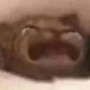 waaaah