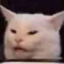 catkek catkek