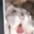 licksu