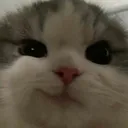 catsmirk
