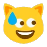 SweatNervousCat