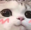 E_cat_blush Discord emoji