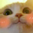E_cat_sasha Discord emoji