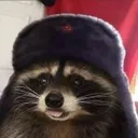 RaccoonComrade