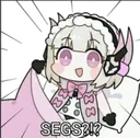 segs segs