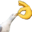 SHUT