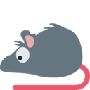 rat_eyes