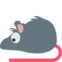 rat_eyes