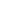 rat_Minecraft_jump8