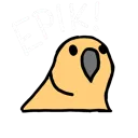 birbepik