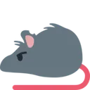 rat_angry