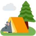 rat_camping