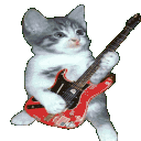 5964catjam