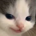devious_hehe devious_hehe