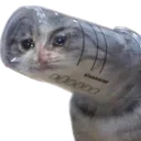 catto_cry