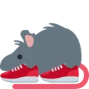 rat_shoes