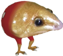 he Discord emoji