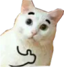 noiceCat Discord Emoji