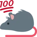 rat_100 rat_100