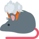 rat_exploding_head