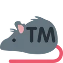 rat_TM