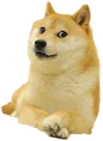 DogeMemePNGFreeDownload Discord Emoji