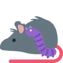 rat_and_bug