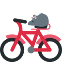 rat_bicycle