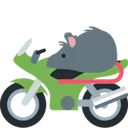 rat_motorcycle