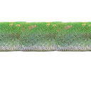zzlizard2 Discord emoji