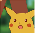 :Pikawhat:
